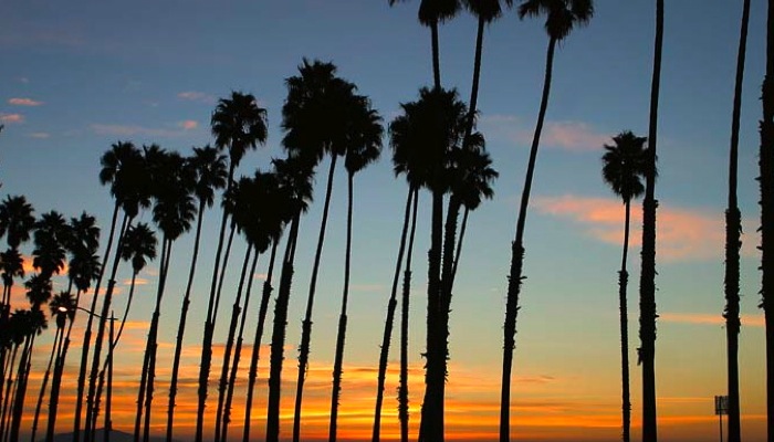 Los 5 Mejores Hoteles del Sur de California
